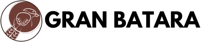 HEADER IMAGE Exposición BBB